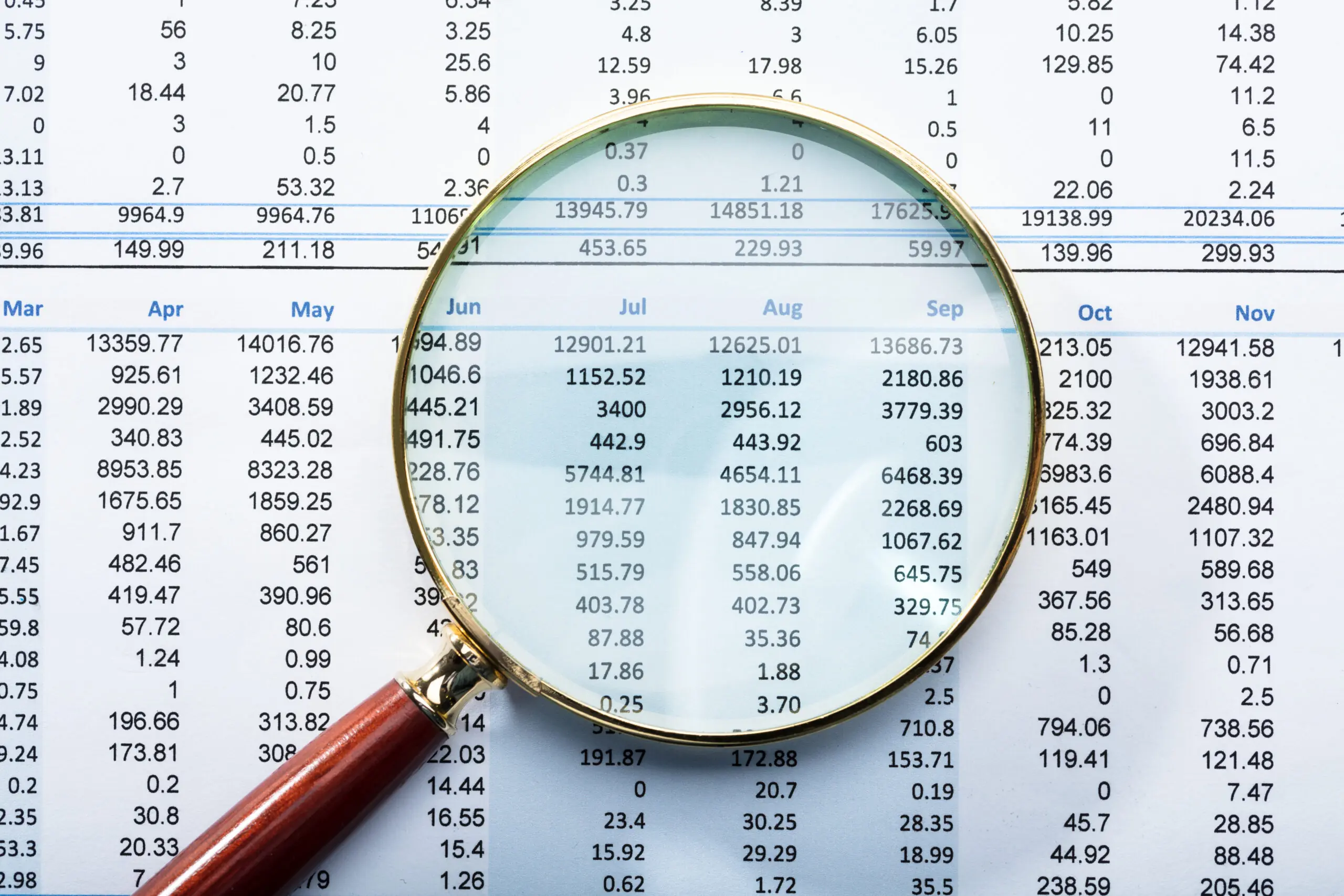 Forensic Accountant